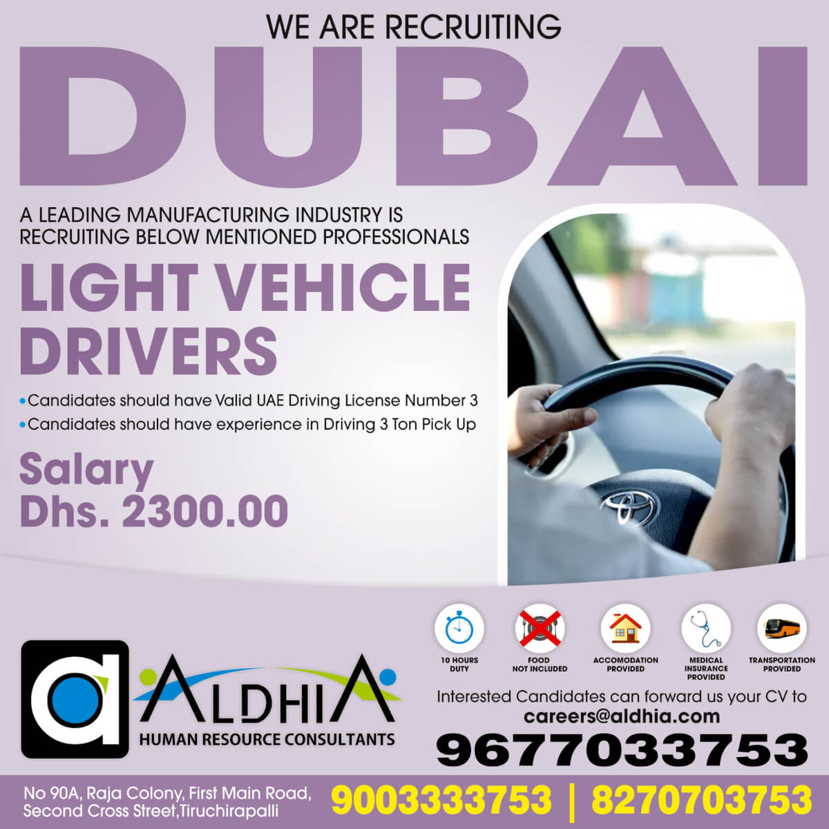 Light Vehicle Drivers
