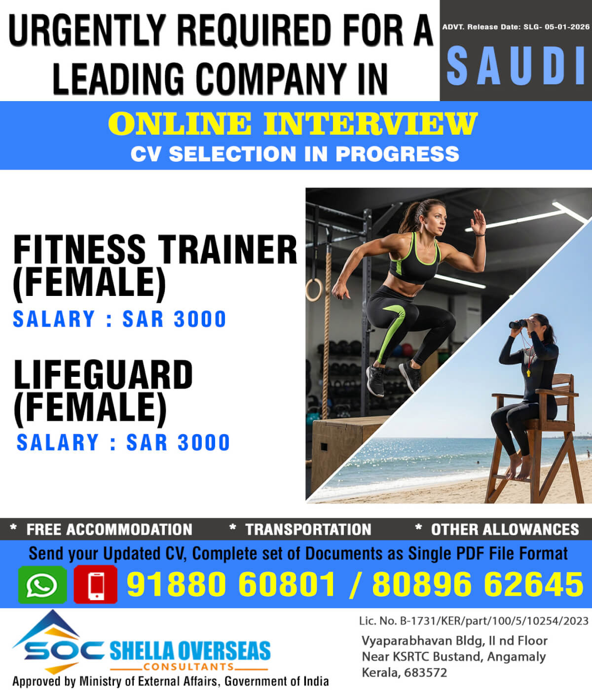 Fitness Trainer & Lifeguard