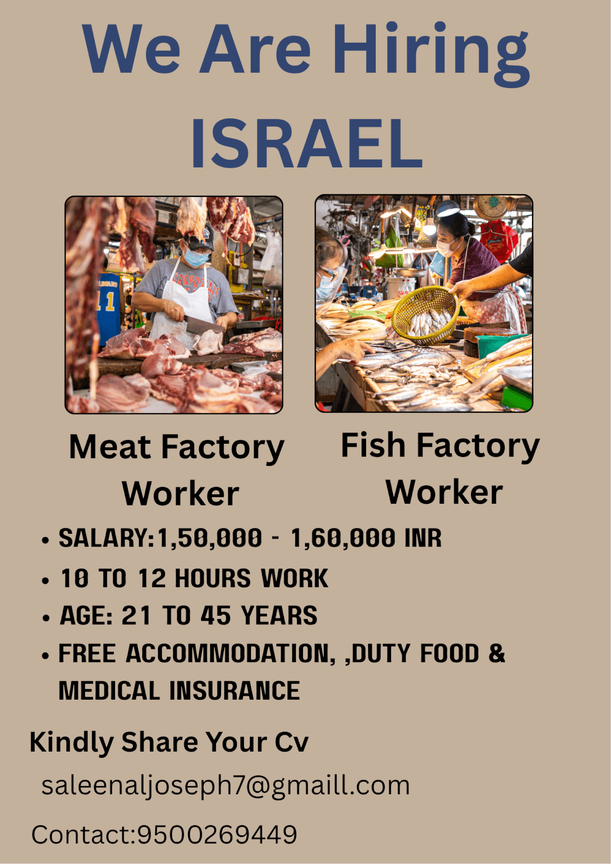 FISH & MEAT Factory
